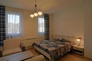 Гостевой дом Sinanovi Guest House Osina Двухместный номер с 1 кроватью и балконом-9