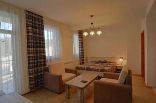 Гостевой дом Sinanovi Guest House Osina Двухместный номер с 1 кроватью и балконом-16