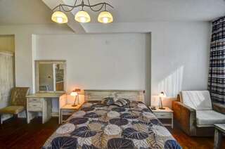 Гостевой дом Sinanovi Guest House Osina Двухместный номер с 1 кроватью и балконом-52